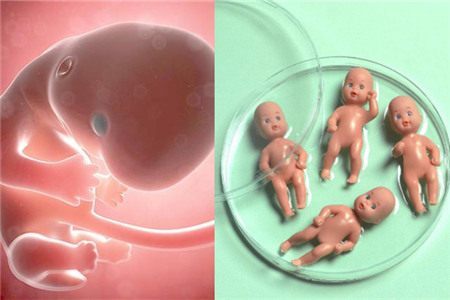 关于代怀选性别包生男孩代生医院